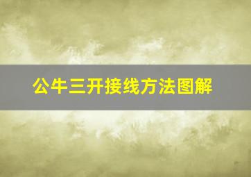 公牛三开接线方法图解