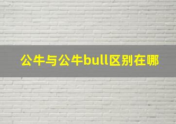 公牛与公牛bull区别在哪