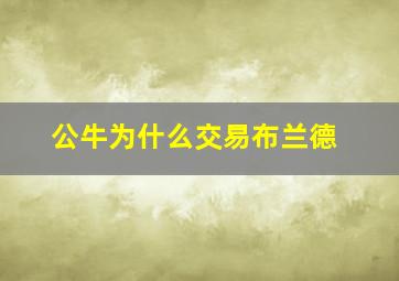 公牛为什么交易布兰德