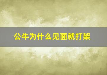 公牛为什么见面就打架