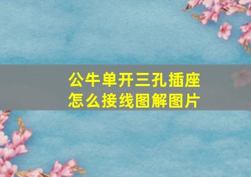 公牛单开三孔插座怎么接线图解图片