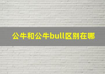 公牛和公牛bull区别在哪