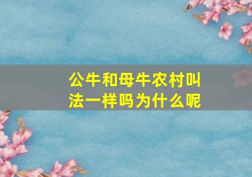 公牛和母牛农村叫法一样吗为什么呢