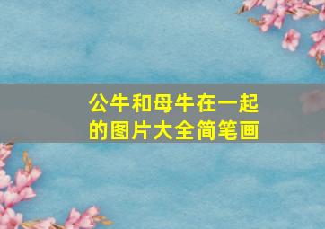 公牛和母牛在一起的图片大全简笔画