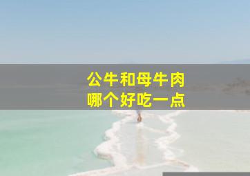 公牛和母牛肉哪个好吃一点