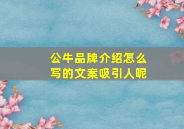 公牛品牌介绍怎么写的文案吸引人呢