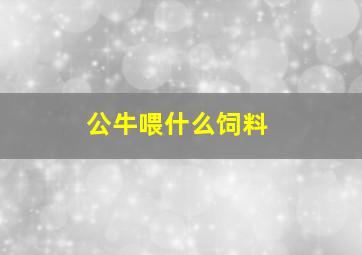 公牛喂什么饲料