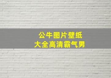 公牛图片壁纸大全高清霸气男