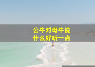 公牛对母牛说什么好听一点