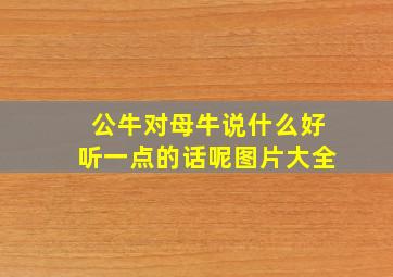 公牛对母牛说什么好听一点的话呢图片大全