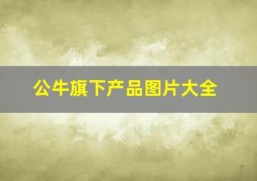 公牛旗下产品图片大全