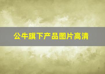 公牛旗下产品图片高清