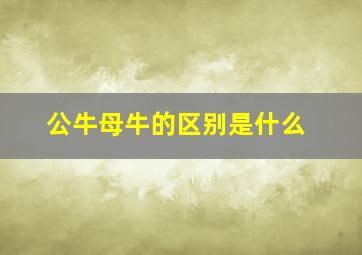 公牛母牛的区别是什么