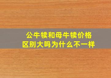 公牛犊和母牛犊价格区别大吗为什么不一样