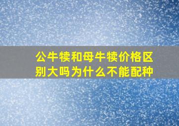 公牛犊和母牛犊价格区别大吗为什么不能配种