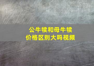 公牛犊和母牛犊价格区别大吗视频