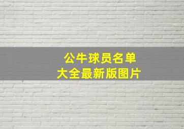 公牛球员名单大全最新版图片