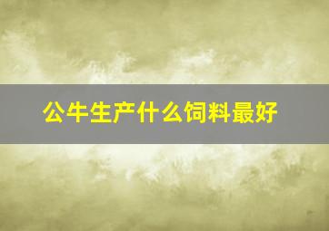 公牛生产什么饲料最好