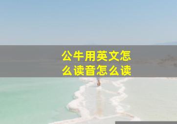 公牛用英文怎么读音怎么读