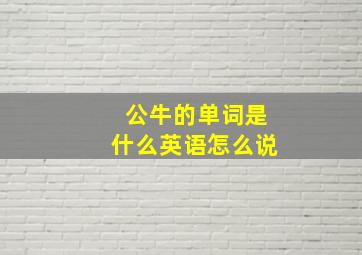 公牛的单词是什么英语怎么说