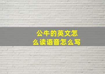 公牛的英文怎么读语音怎么写