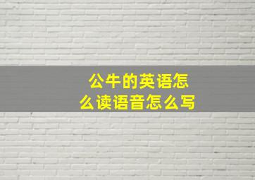 公牛的英语怎么读语音怎么写