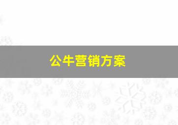 公牛营销方案