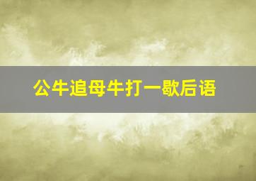 公牛追母牛打一歇后语