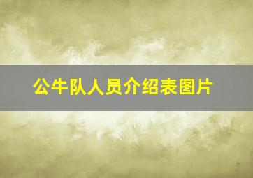 公牛队人员介绍表图片