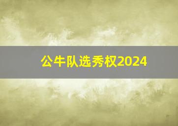 公牛队选秀权2024