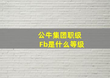 公牛集团职级Fb是什么等级