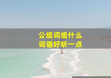 公组词组什么词语好听一点