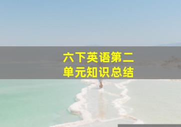 六下英语第二单元知识总结