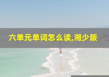 六单元单词怎么读,湘少版