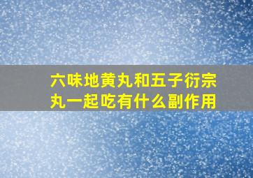 六味地黄丸和五子衍宗丸一起吃有什么副作用