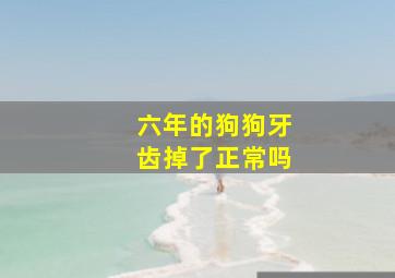 六年的狗狗牙齿掉了正常吗