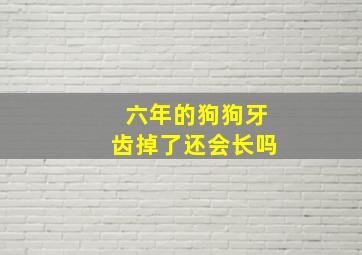 六年的狗狗牙齿掉了还会长吗