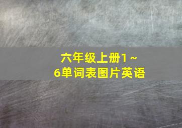 六年级上册1～6单词表图片英语