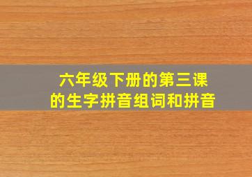 六年级下册的第三课的生字拼音组词和拼音