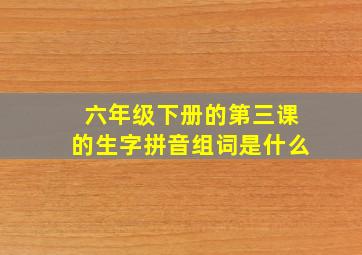 六年级下册的第三课的生字拼音组词是什么