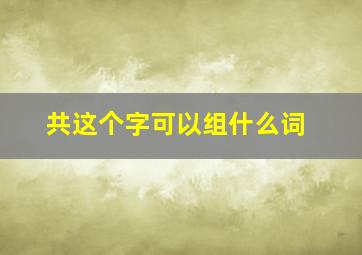 共这个字可以组什么词