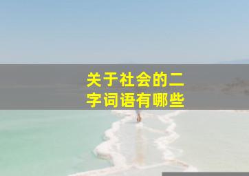 关于社会的二字词语有哪些