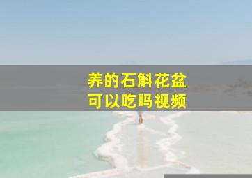 养的石斛花盆可以吃吗视频