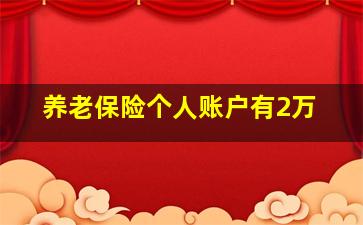 养老保险个人账户有2万