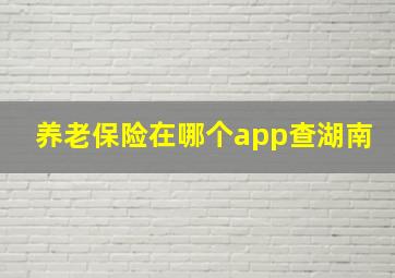 养老保险在哪个app查湖南