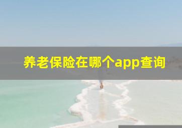 养老保险在哪个app查询