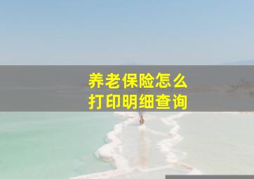 养老保险怎么打印明细查询