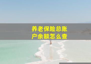 养老保险总账户余额怎么查