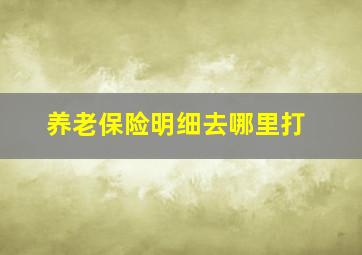 养老保险明细去哪里打