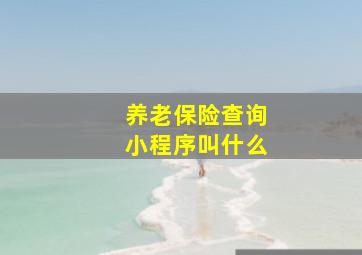 养老保险查询小程序叫什么